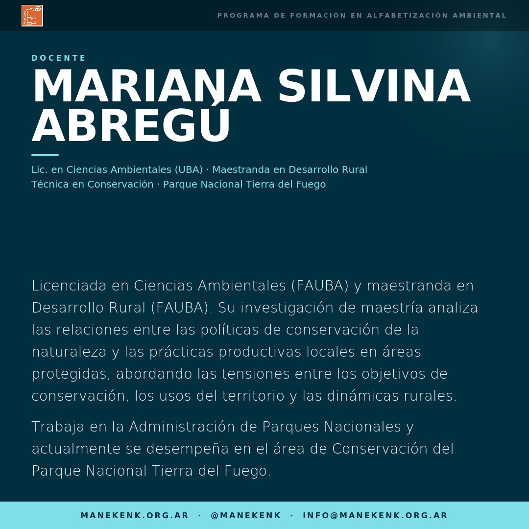 Docente curso 7b