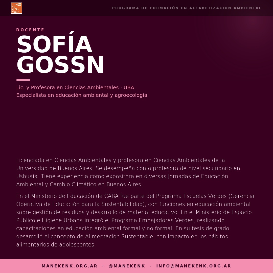 Docente curso 3