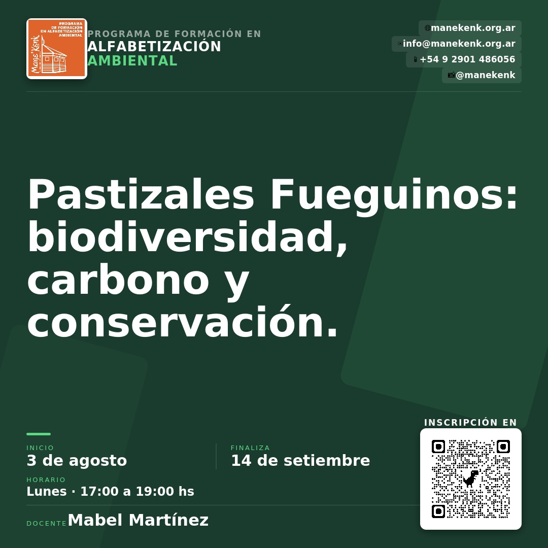 Curso 1