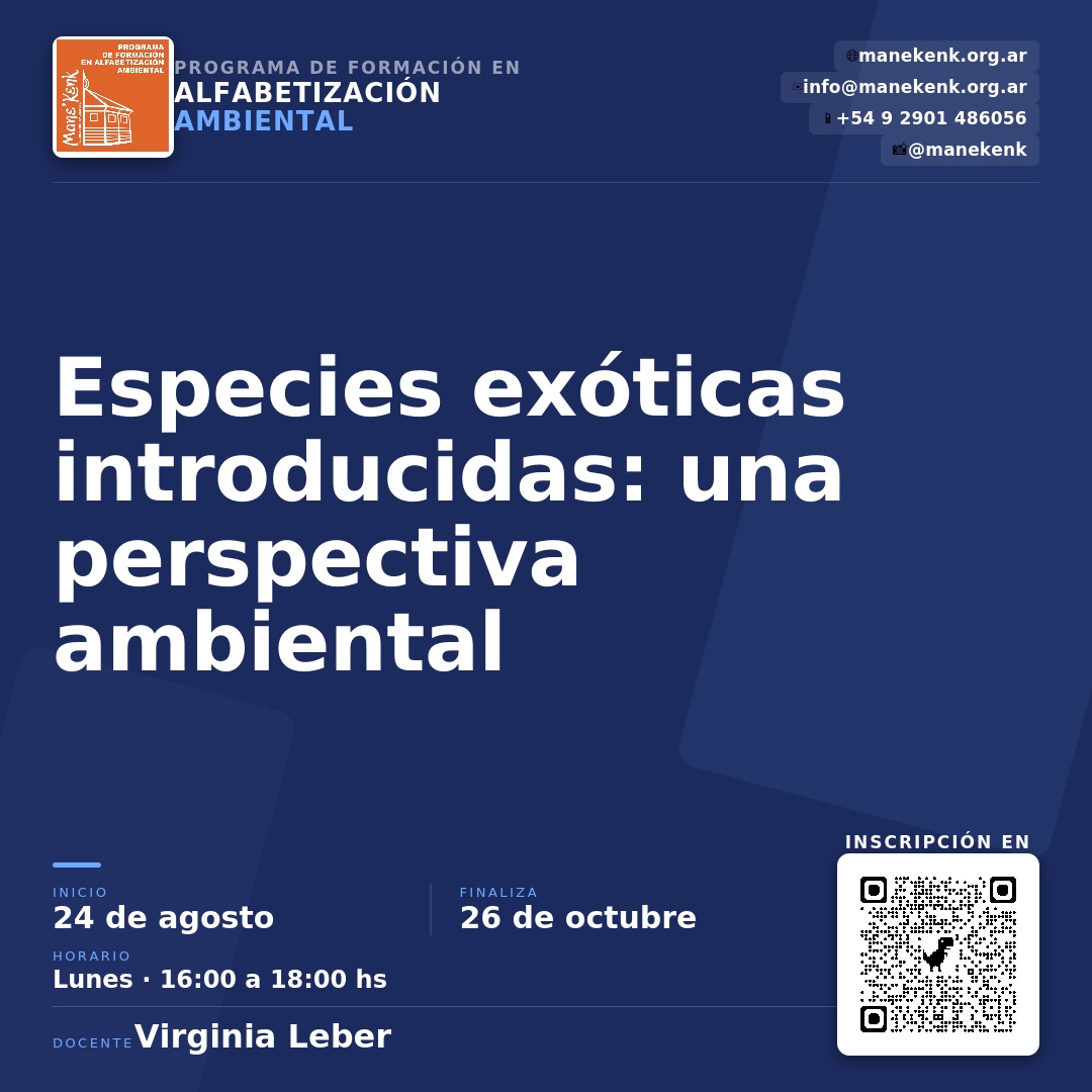 Curso 2